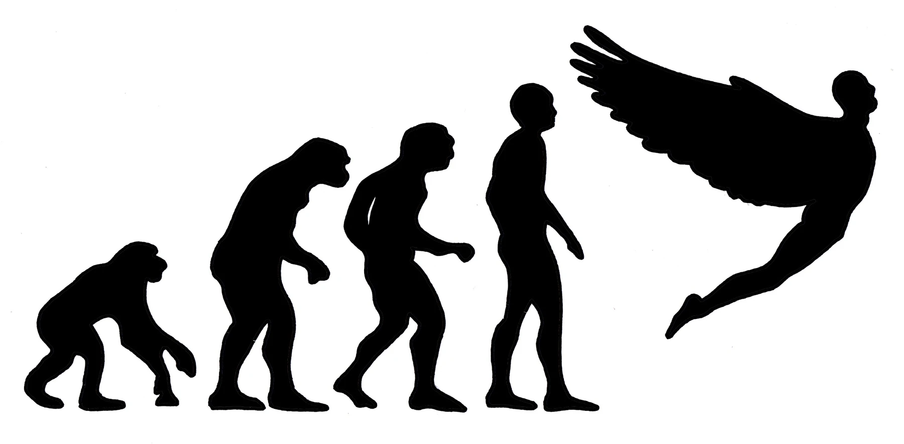 Sequence of black silhouettes from primate evolution to a winged human figure.